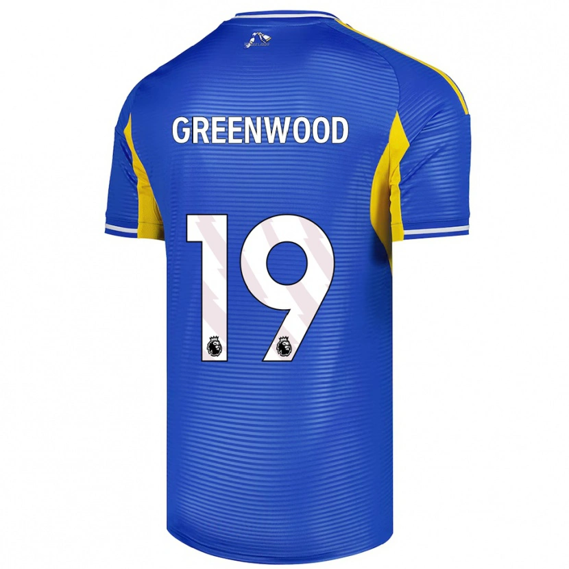 Danxen Kinder Sam Greenwood #19 Blau Gelb Auswärtstrikot Trikot 2025/26 T-Shirt Österreich
