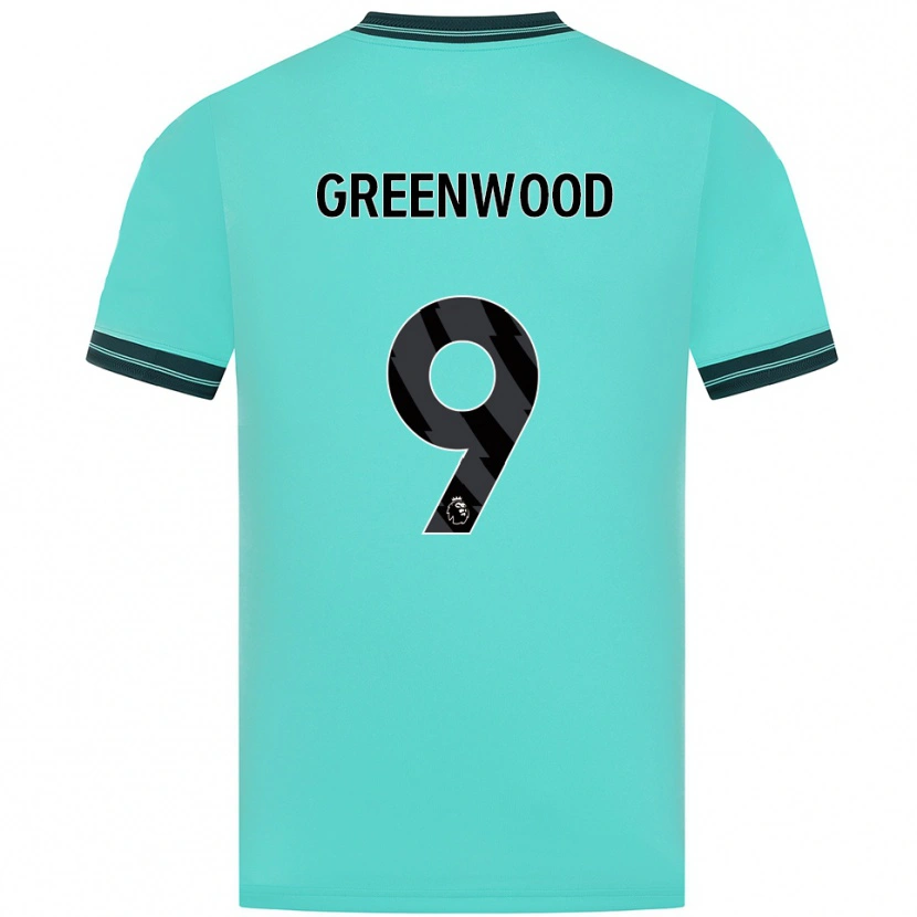 Danxen Kinder Jashayde Greenwood #9 Himmelblau Grün Auswärtstrikot Trikot 2025/26 T-Shirt Österreich