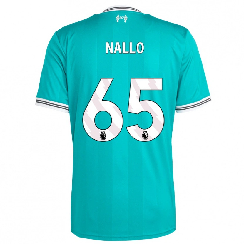 Danxen Kinder Amara Nallo #65 Grün Weiß Ausweichtrikot Trikot 2025/26 T-Shirt Österreich