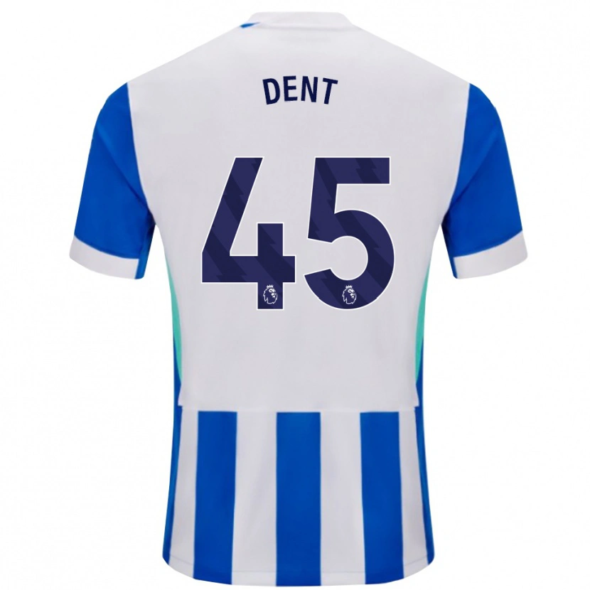 Danxen Herren Lily Dent #45 Blau Weiß Heimtrikot Trikot 2025/26 T-Shirt Österreich