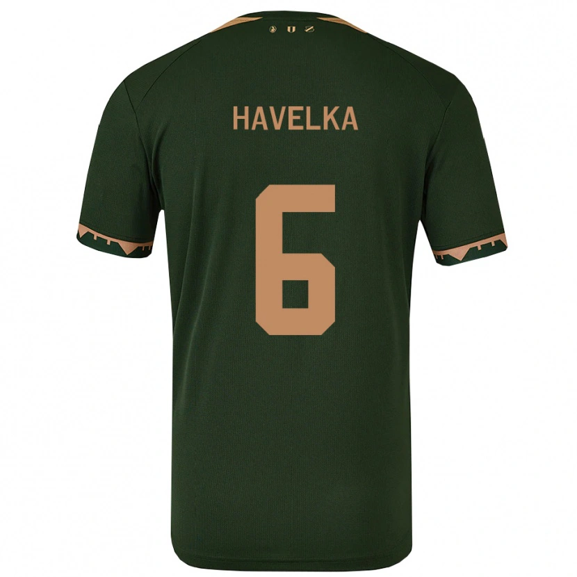 Danxen Herren Matyas Havelka #6 Grün Gold Auswärtstrikot Trikot 2025/26 T-Shirt Österreich