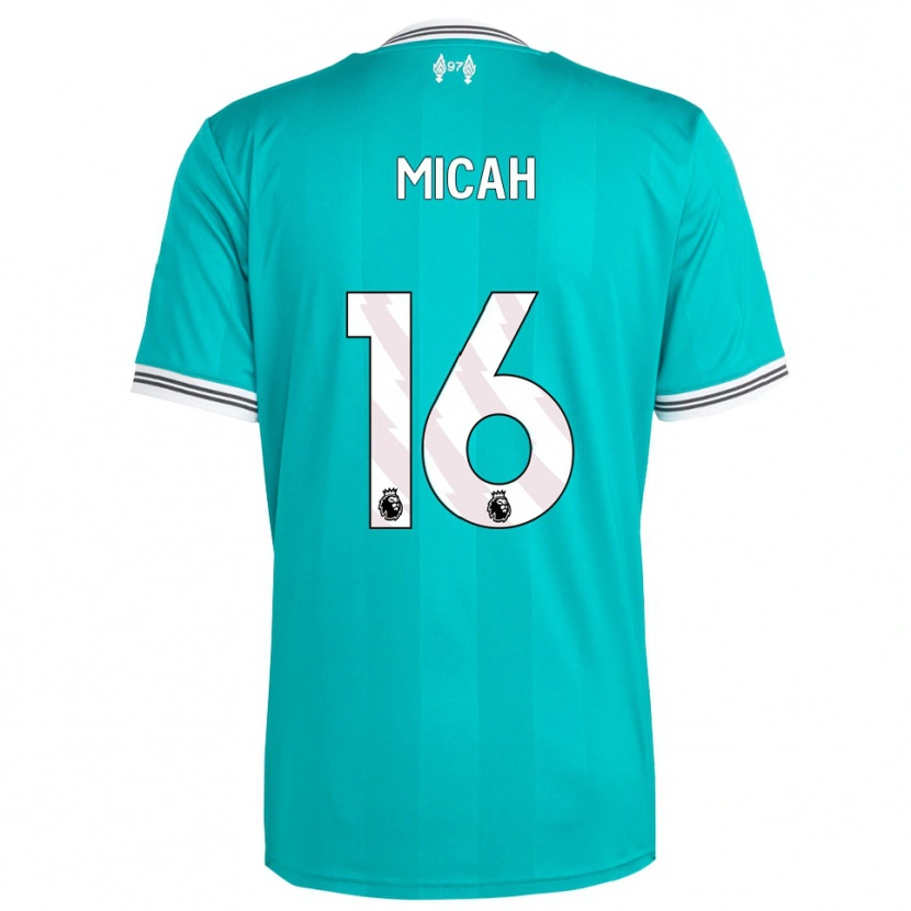 Danxen Herren Teagan Micah #16 Grün Weiß Ausweichtrikot Trikot 2025/26 T-Shirt Österreich