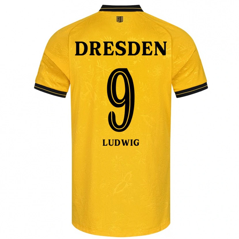 Danxen Herren Yannis Ludwig #9 Gelb Schwarz Heimtrikot Trikot 2025/26 T-Shirt Österreich