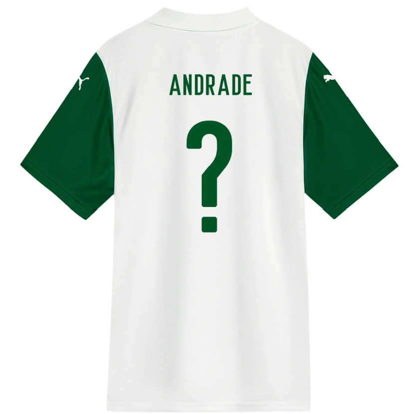 Danxen Kinder Deivid Andrade #0 Weiß Grün Auswärtstrikot Trikot 2025/26 T-Shirt Österreich