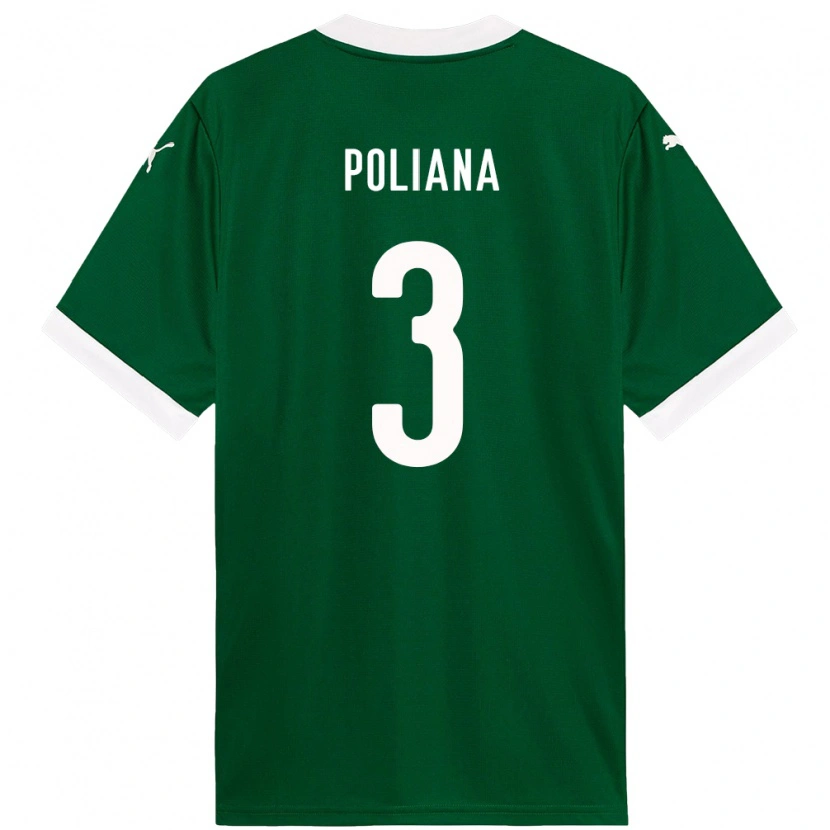 Danxen Herren Poliana #3 Grün Weiß Heimtrikot Trikot 2025/26 T-Shirt Österreich