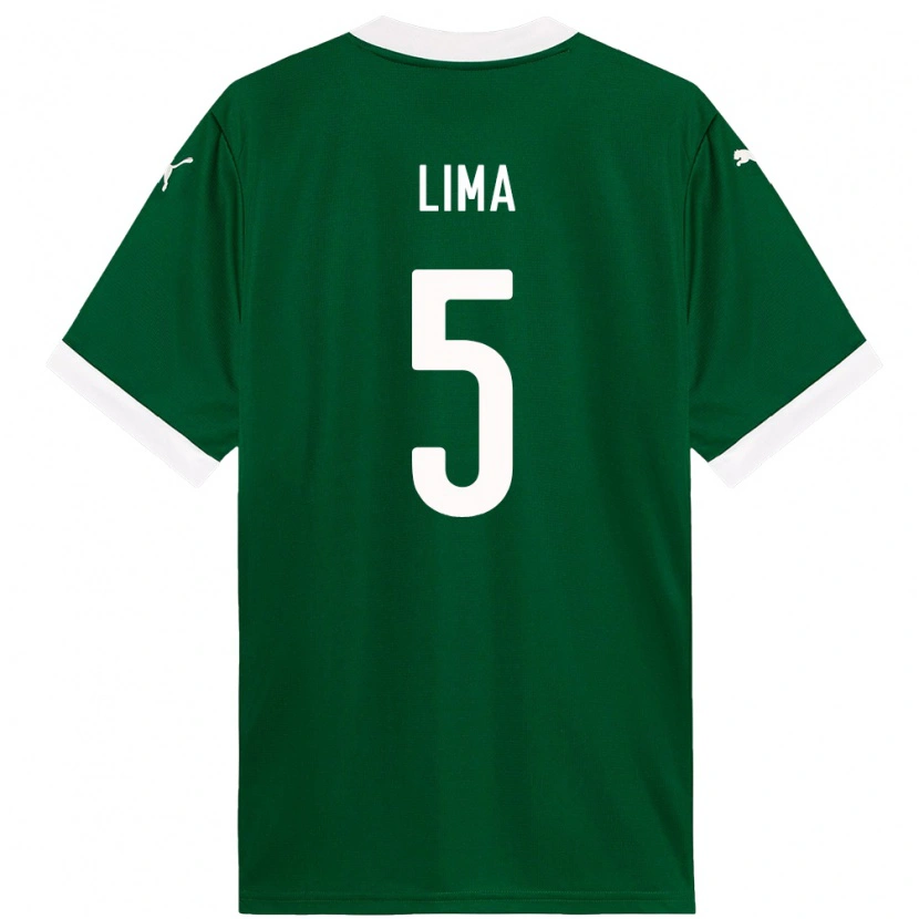 Danxen Herren Ingryd Lima #5 Grün Weiß Heimtrikot Trikot 2025/26 T-Shirt Österreich