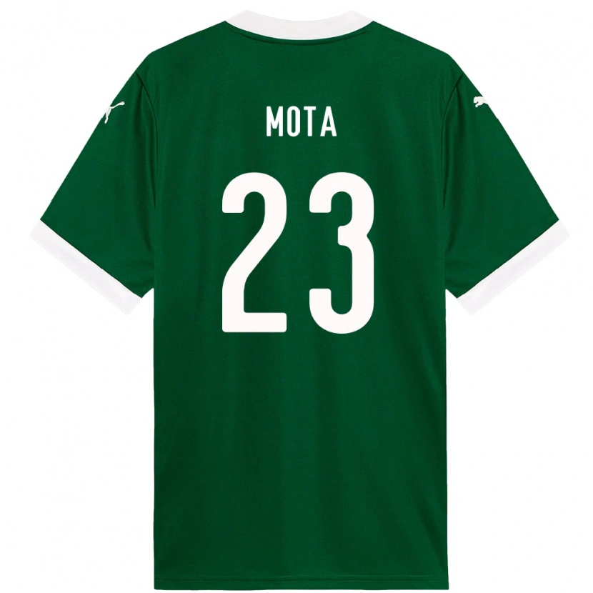 Danxen Herren Flávia Mota #23 Grün Weiß Heimtrikot Trikot 2025/26 T-Shirt Österreich