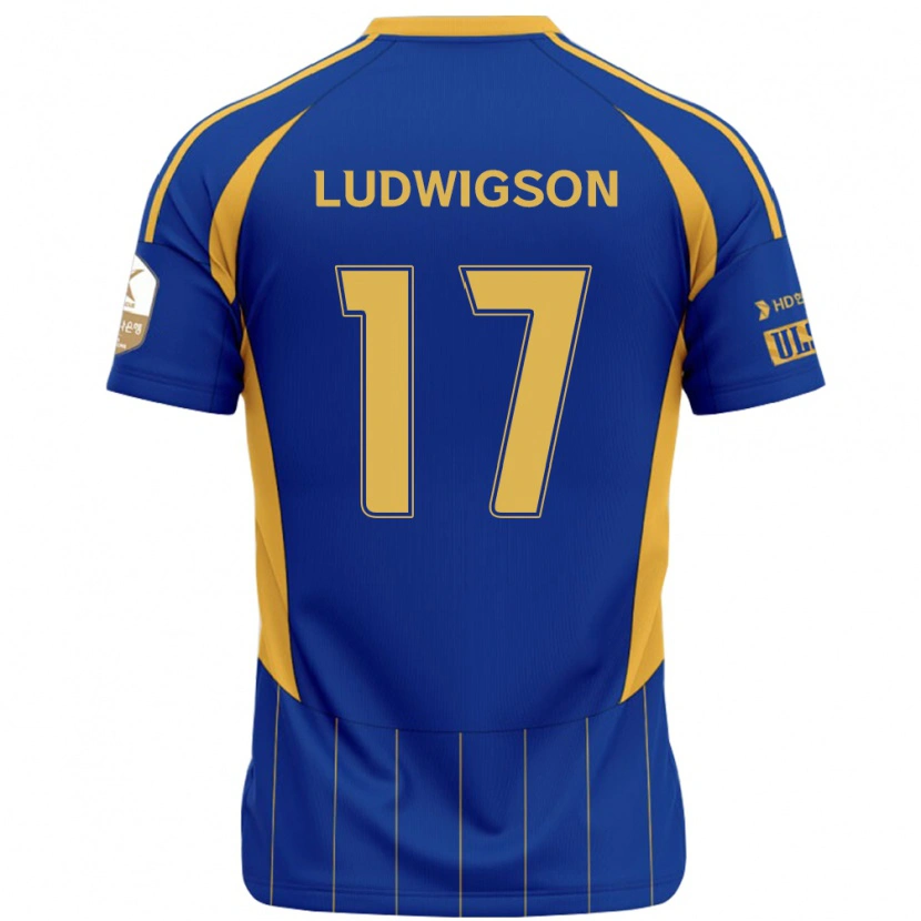 Danxen Herren Gustav Ludwigson #17 Königsblau Gelb Heimtrikot Trikot 2025/26 T-Shirt Österreich