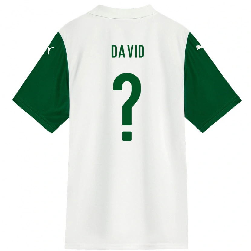 Danxen Herren David #0 Weiß Grün Auswärtstrikot Trikot 2025/26 T-Shirt Österreich