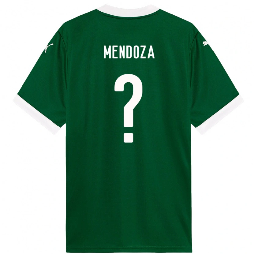 Danxen Damen Beymar Mendoza #0 Grün Weiß Heimtrikot Trikot 2025/26 T-Shirt Österreich