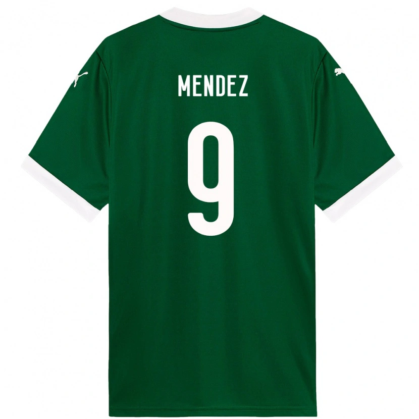 Danxen Damen Cesar Mendez #9 Grün Weiß Heimtrikot Trikot 2025/26 T-Shirt Österreich