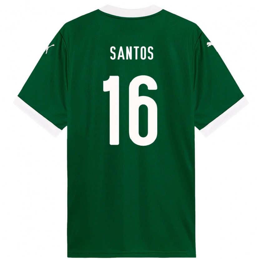 Danxen Damen Gaby Santos #16 Grün Weiß Heimtrikot Trikot 2025/26 T-Shirt Österreich