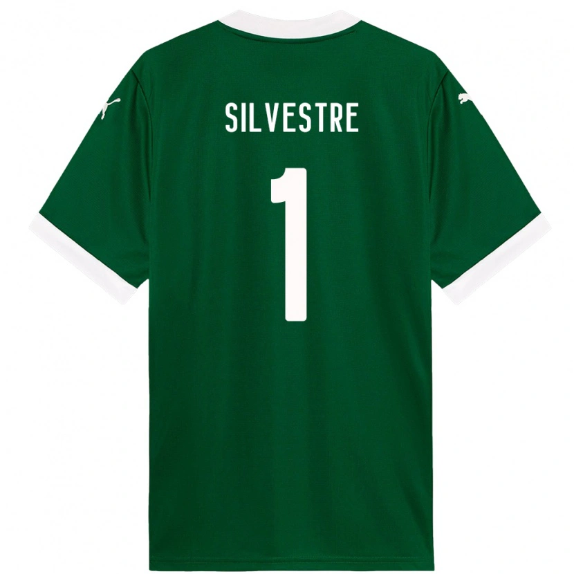 Danxen Damen Vinicius Silvestre #1 Grün Weiß Heimtrikot Trikot 2025/26 T-Shirt Österreich