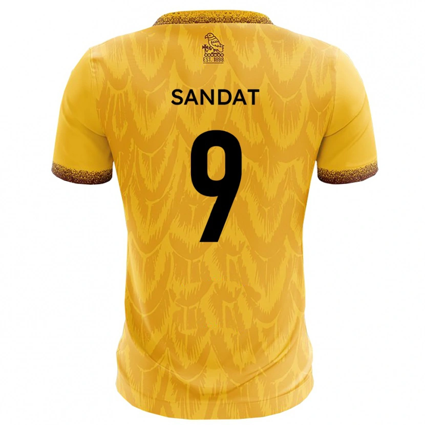 Danxen Kinder Henry Sandat #9 Gelb Braun Heimtrikot Trikot 2025/26 T-Shirt Österreich