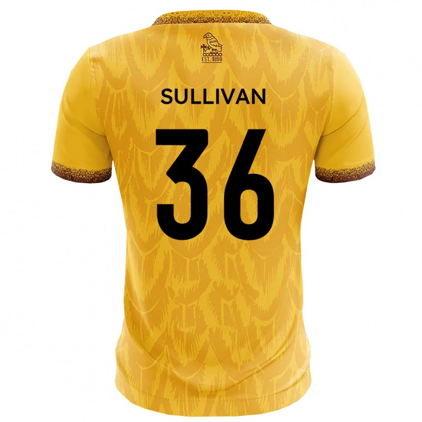 Danxen Kinder Cameron Sullivan #36 Gelb Braun Heimtrikot Trikot 2025/26 T-Shirt Österreich