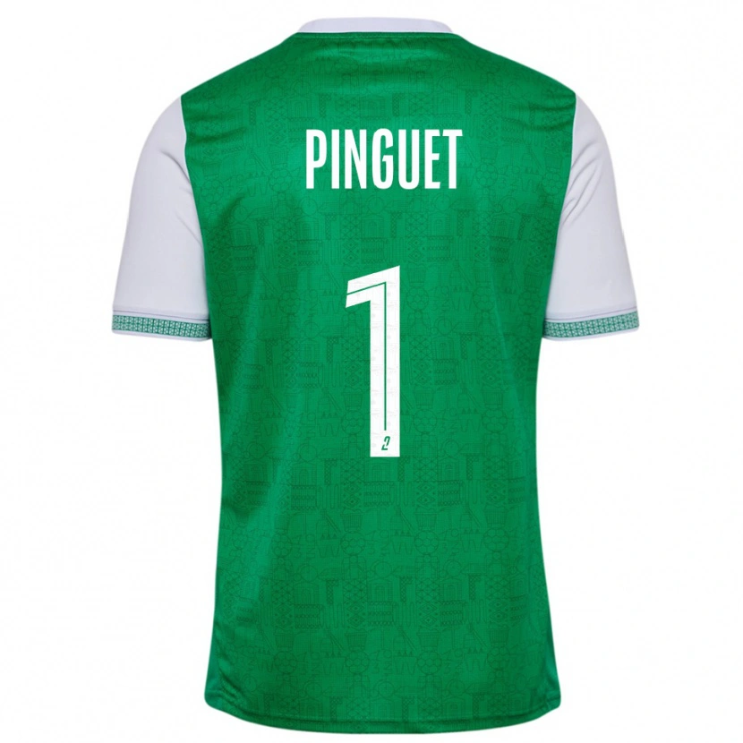 Danxen Herren Alice Pinguet #1 Grün Weiß Heimtrikot Trikot 2025/26 T-Shirt Österreich