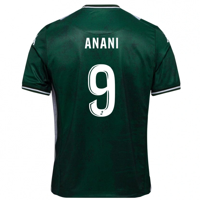 Danxen Herren Achille Anani #9 Grün Weiß Heimtrikot Trikot 2025/26 T-Shirt Österreich