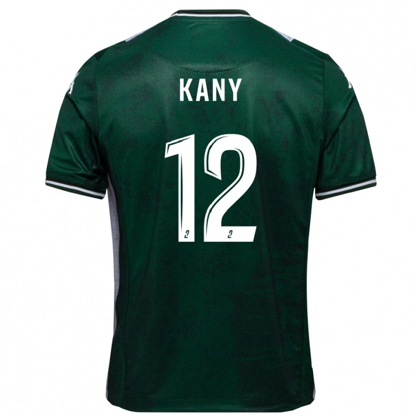 Danxen Damen Vincent Kany #12 Grün Weiß Heimtrikot Trikot 2025/26 T-Shirt Österreich