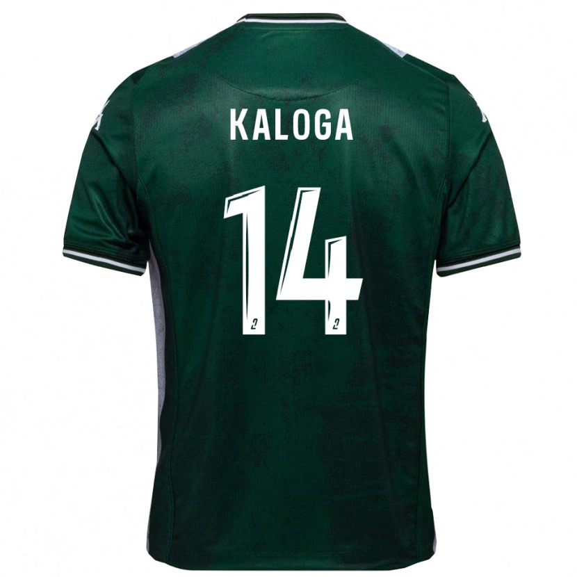 Danxen Damen Amallah Kaloga #14 Grün Weiß Heimtrikot Trikot 2025/26 T-Shirt Österreich