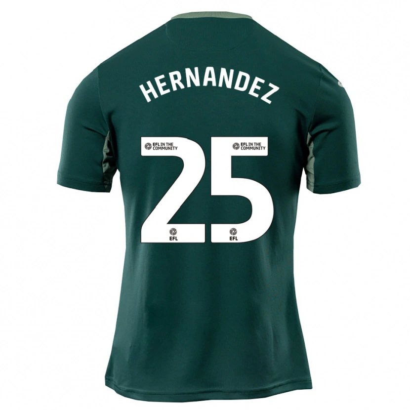 Danxen Damen Onel Hernández #25 Grün Weiß Lila Auswärtstrikot Trikot 2025/26 T-Shirt Österreich