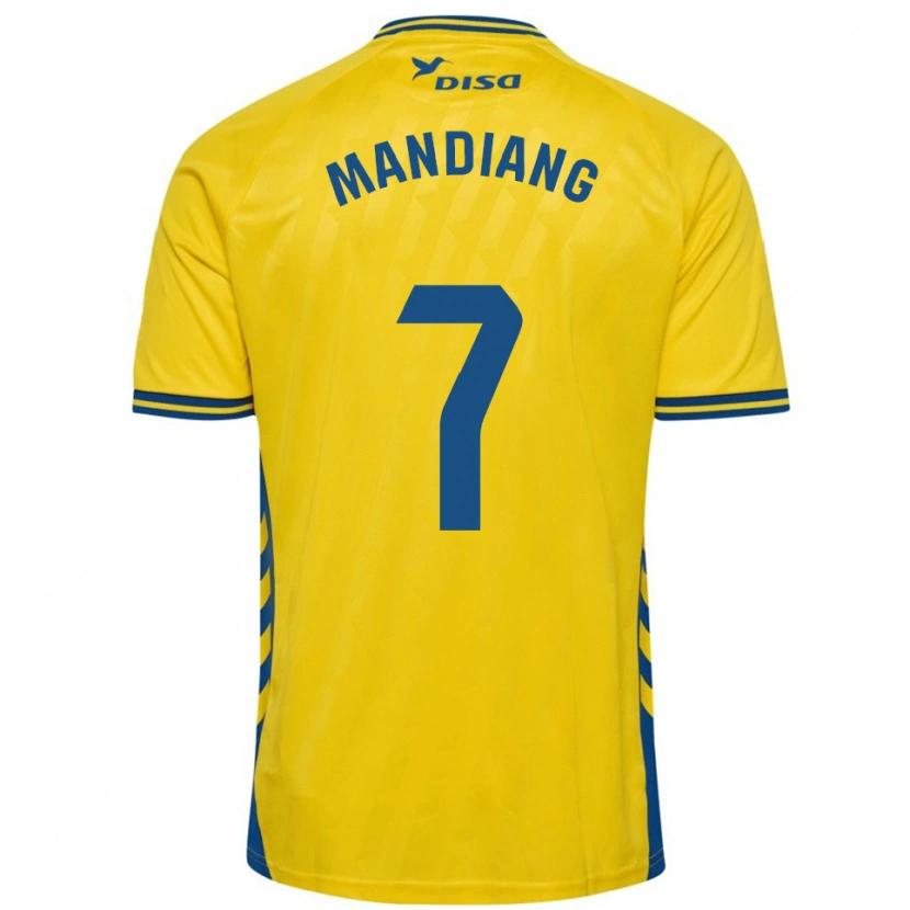 Danxen Kinder Saliou Mandiang #7 Gelb Blau Heimtrikot Trikot 2025/26 T-Shirt Österreich