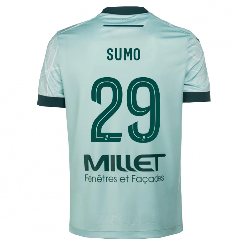 Danxen Kinder Eva Sumo #29 Grün Weiß Auswärtstrikot Trikot 2025/26 T-Shirt Österreich