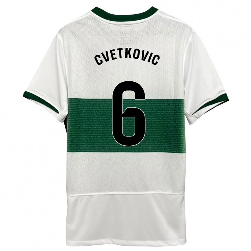 Danxen Herren Novak Cvetkovic #6 Weiß Grün Heimtrikot Trikot 2025/26 T-Shirt Österreich