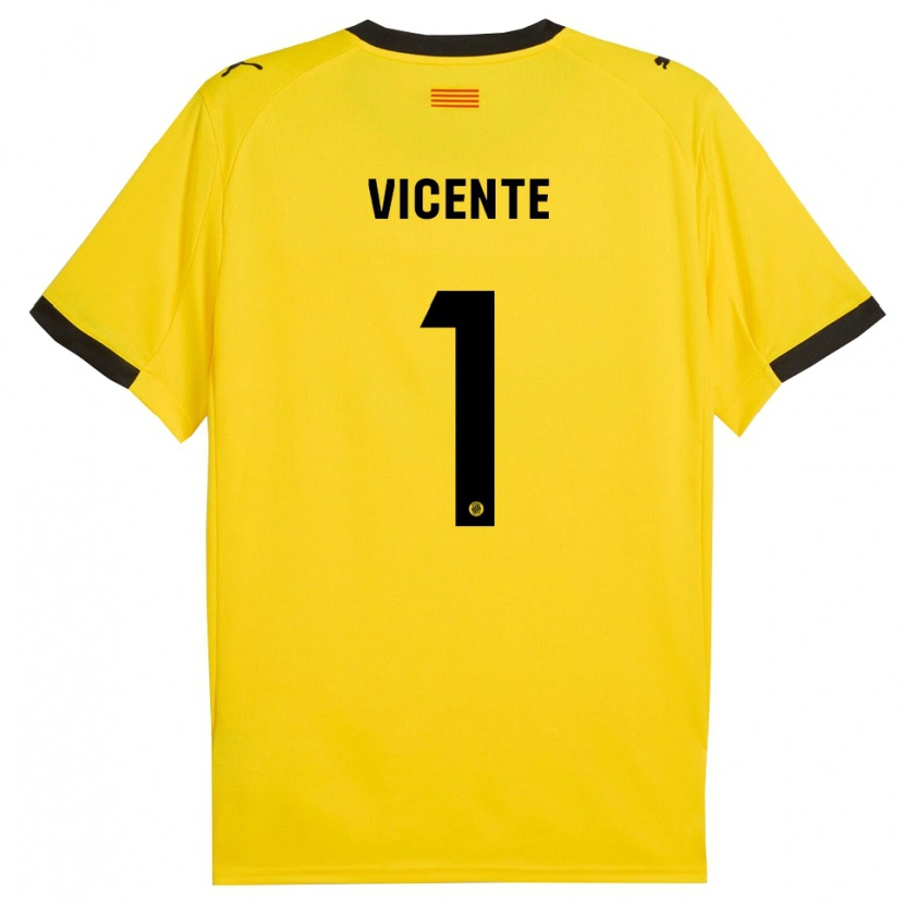 Danxen Damen Diego Vicente #1 Gelb Schwarz Auswärtstrikot Trikot 2025/26 T-Shirt Österreich
