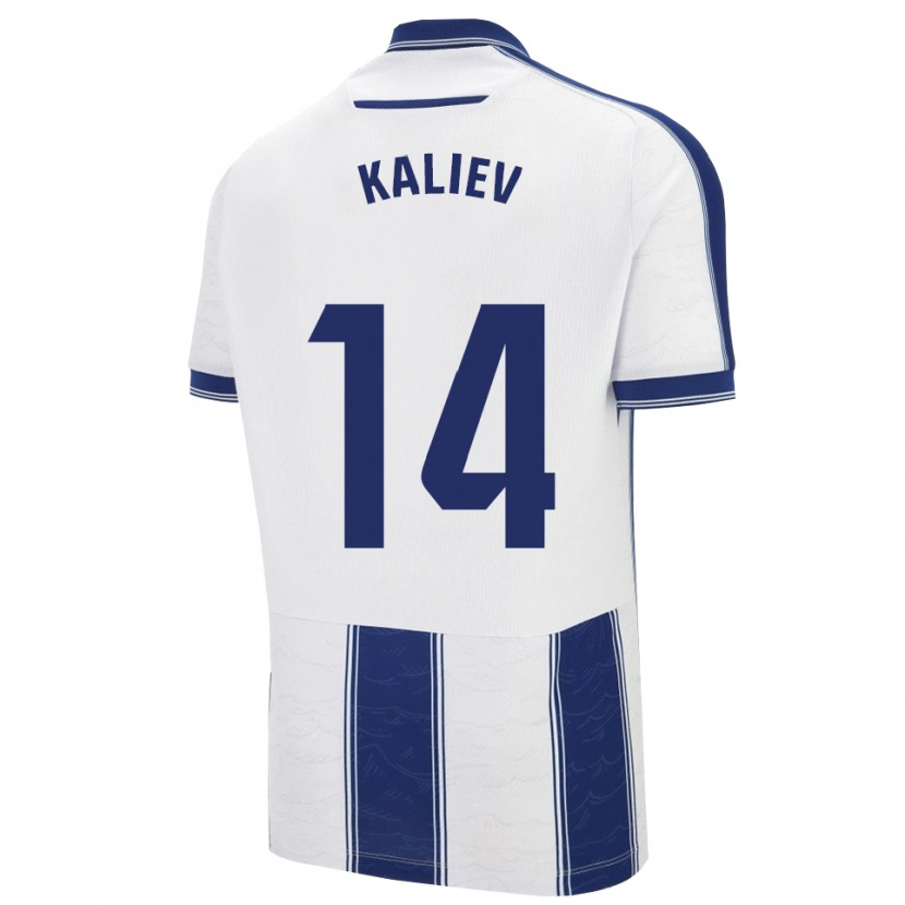 Danxen Damen Shyngys Kaliev #14 Marine Weiß Auswärtstrikot Trikot 2025/26 T-Shirt Österreich