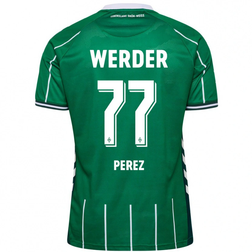 Danxen Kinder Catalina Pérez Jaramillo #77 Grün Weiß Heimtrikot Trikot 2025/26 T-Shirt Österreich