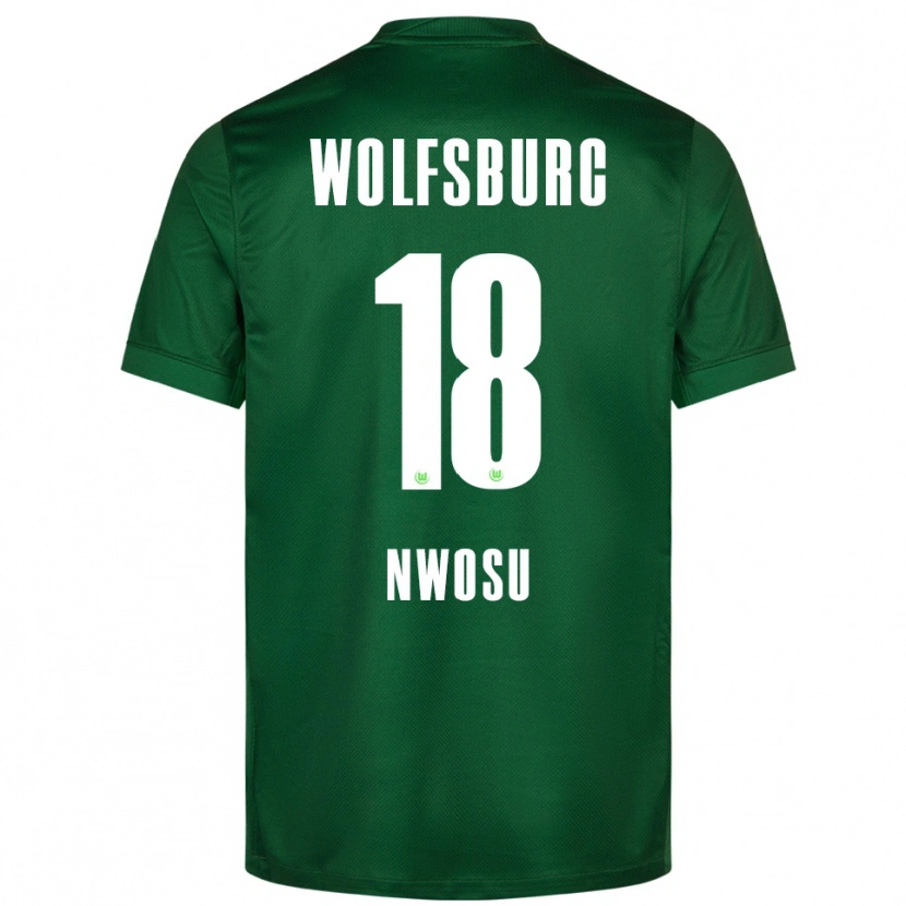 Danxen Kinder Lewis Nwosu #18 Grün Weiß Heimtrikot Trikot 2025/26 T-Shirt Österreich