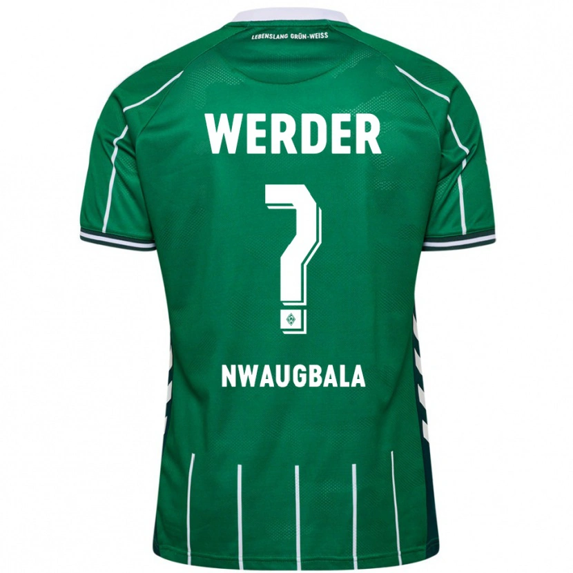 Danxen Herren Kevin Nwaugbala #0 Grün Weiß Heimtrikot Trikot 2025/26 T-Shirt Österreich