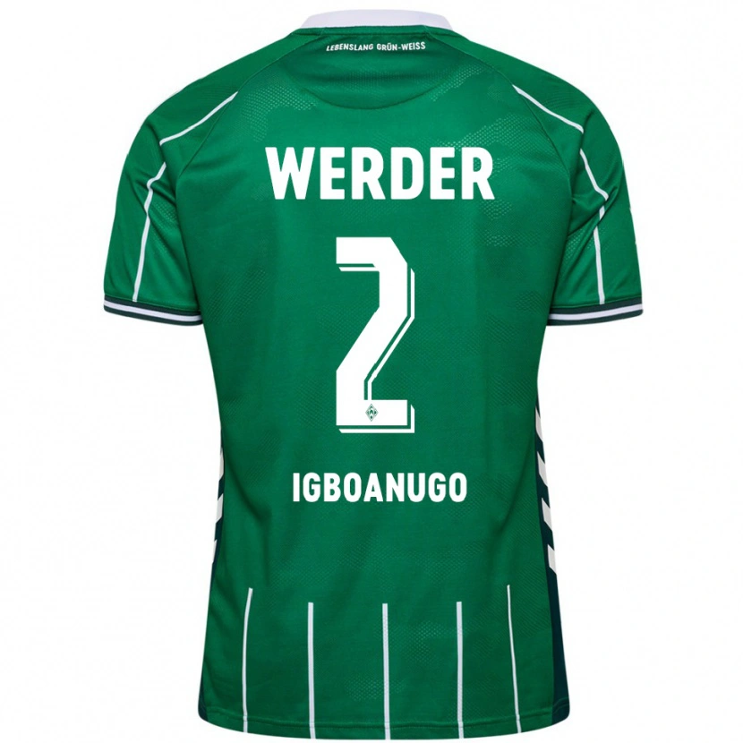 Danxen Herren David Igboanugo #2 Grün Weiß Heimtrikot Trikot 2025/26 T-Shirt Österreich