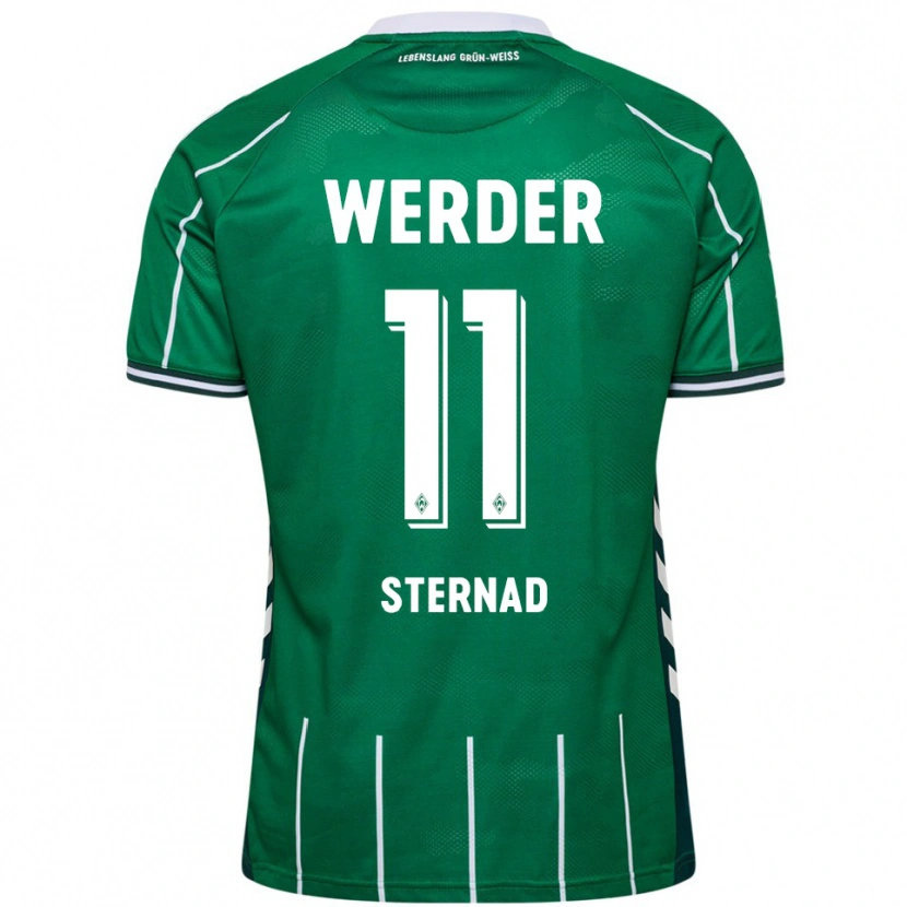 Danxen Damen Maja Sternad #11 Grün Weiß Heimtrikot Trikot 2025/26 T-Shirt Österreich