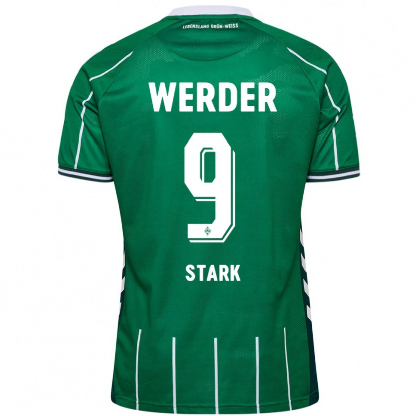 Danxen Damen Christian Stark #9 Grün Weiß Heimtrikot Trikot 2025/26 T-Shirt Österreich