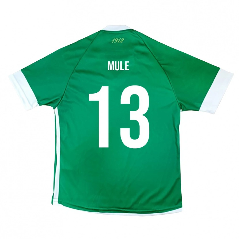 Danxen Kinder Erasmo Mulè #13 Grün Weiß Heimtrikot Trikot 2025/26 T-Shirt Österreich