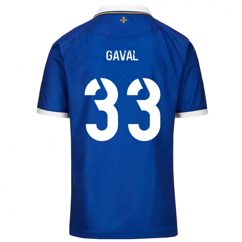 Danxen Kinder Aimé Gaval #33 Blau Gold Heimtrikot Trikot 2025/26 T-Shirt Österreich