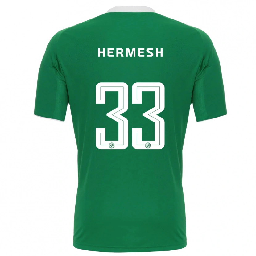 Danxen Herren Liam Hermesh #33 Grün Weiß Heimtrikot Trikot 2025/26 T-Shirt Österreich