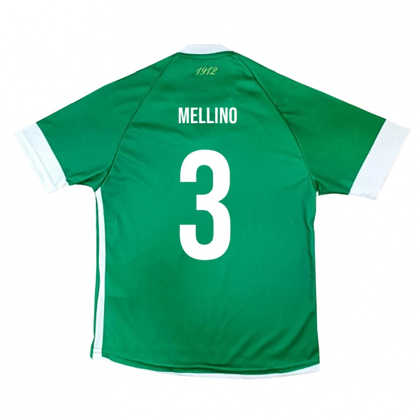 Danxen Damen Carlo Mellino #3 Grün Weiß Heimtrikot Trikot 2025/26 T-Shirt Österreich