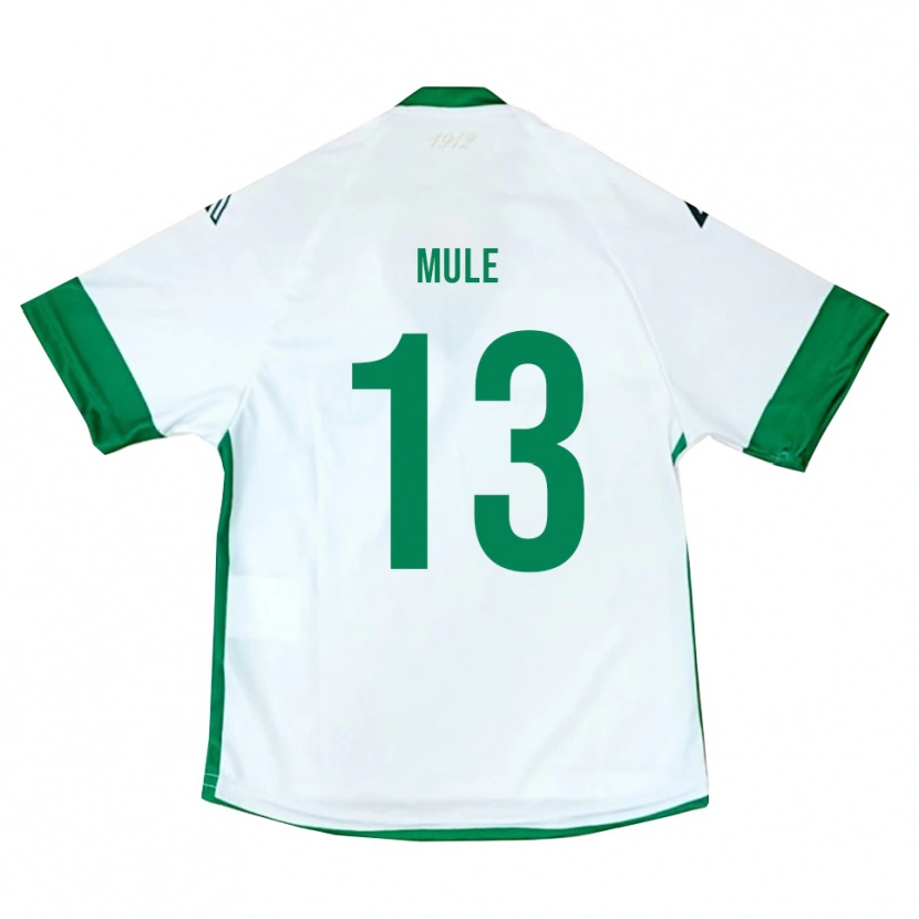 Danxen Damen Erasmo Mulè #13 Weiß Grün Blau Auswärtstrikot Trikot 2025/26 T-Shirt Österreich