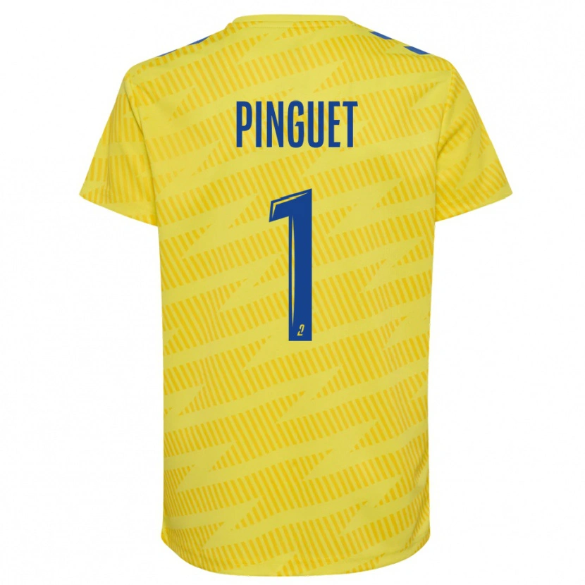 Danxen Kinder Alice Pinguet #1 Trikot Gelb Blau Torwarttrikot 2025/26 Österreich
