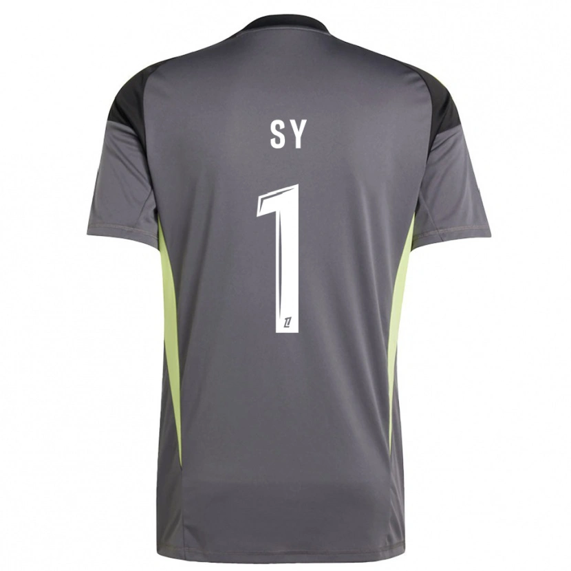 Danxen Kinder Seydou Sy #1 Trikot Dunkelgrau Grün Torwarttrikot 2025/26 Österreich