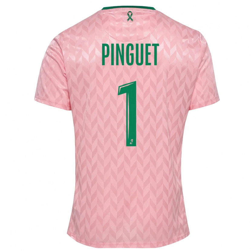Danxen Kinder Alice Pinguet #1 Trikot Pink Grün Torwarttrikot 2025/26 Österreich