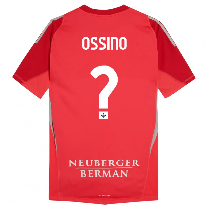 Danxen Kinder Daniel Ossino #0 Trikot Rot Grau Torwarttrikot 2025/26 Österreich