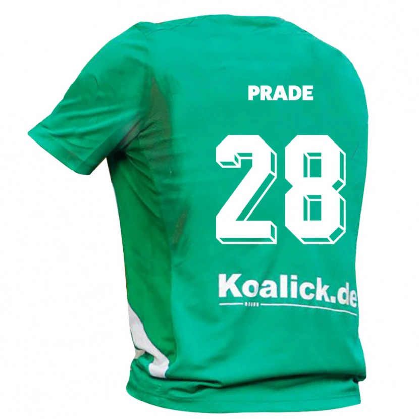 Danxen Herren Adrian Prade #28 Trikot Grün Weiß Torwarttrikot 2025/26 Österreich
