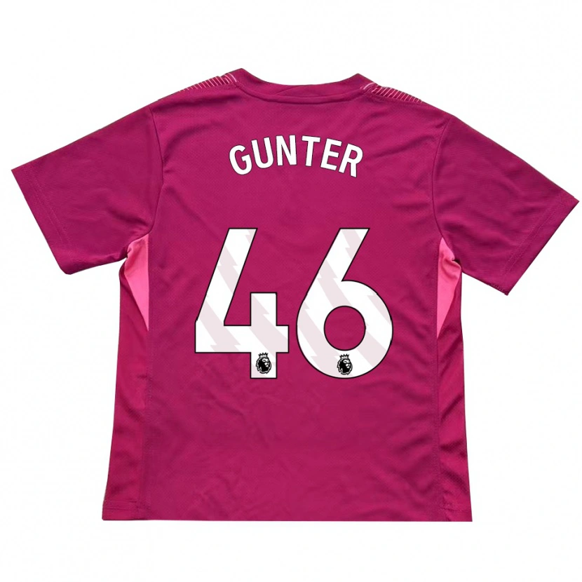 Danxen Herren Luca Gunter #46 Trikot Rosenweiß Torwarttrikot 2025/26 Österreich
