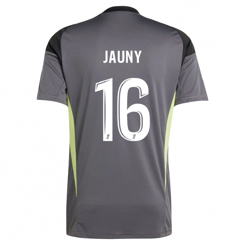 Danxen Herren Noah Jauny #16 Trikot Dunkelgrau Grün Torwarttrikot 2025/26 Österreich