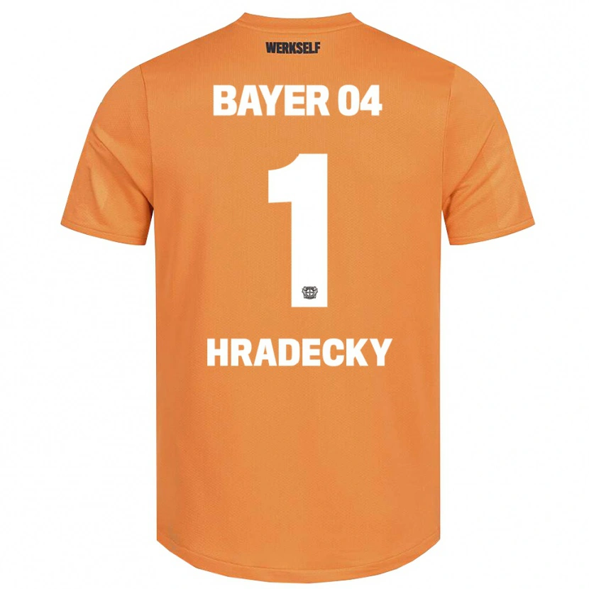 Danxen Herren Lukas Hradecky #1 Trikot Sandbraun Torwarttrikot 2025/26 Österreich