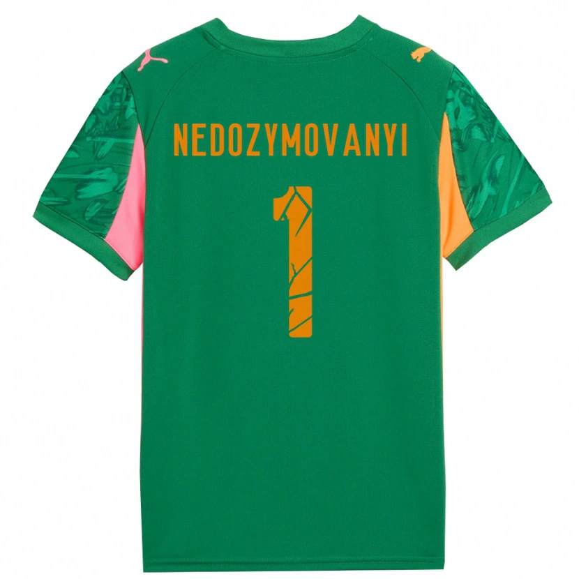 Danxen Herren Artem Nedozymovanyi #1 Trikot Grün Orange Pink Torwarttrikot 2025/26 Österreich
