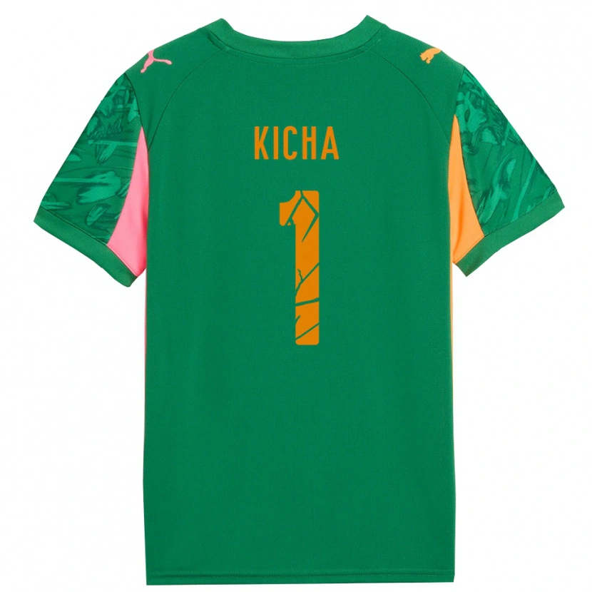Danxen Herren Tymofiy Kicha #1 Trikot Grün Orange Pink Torwarttrikot 2025/26 Österreich